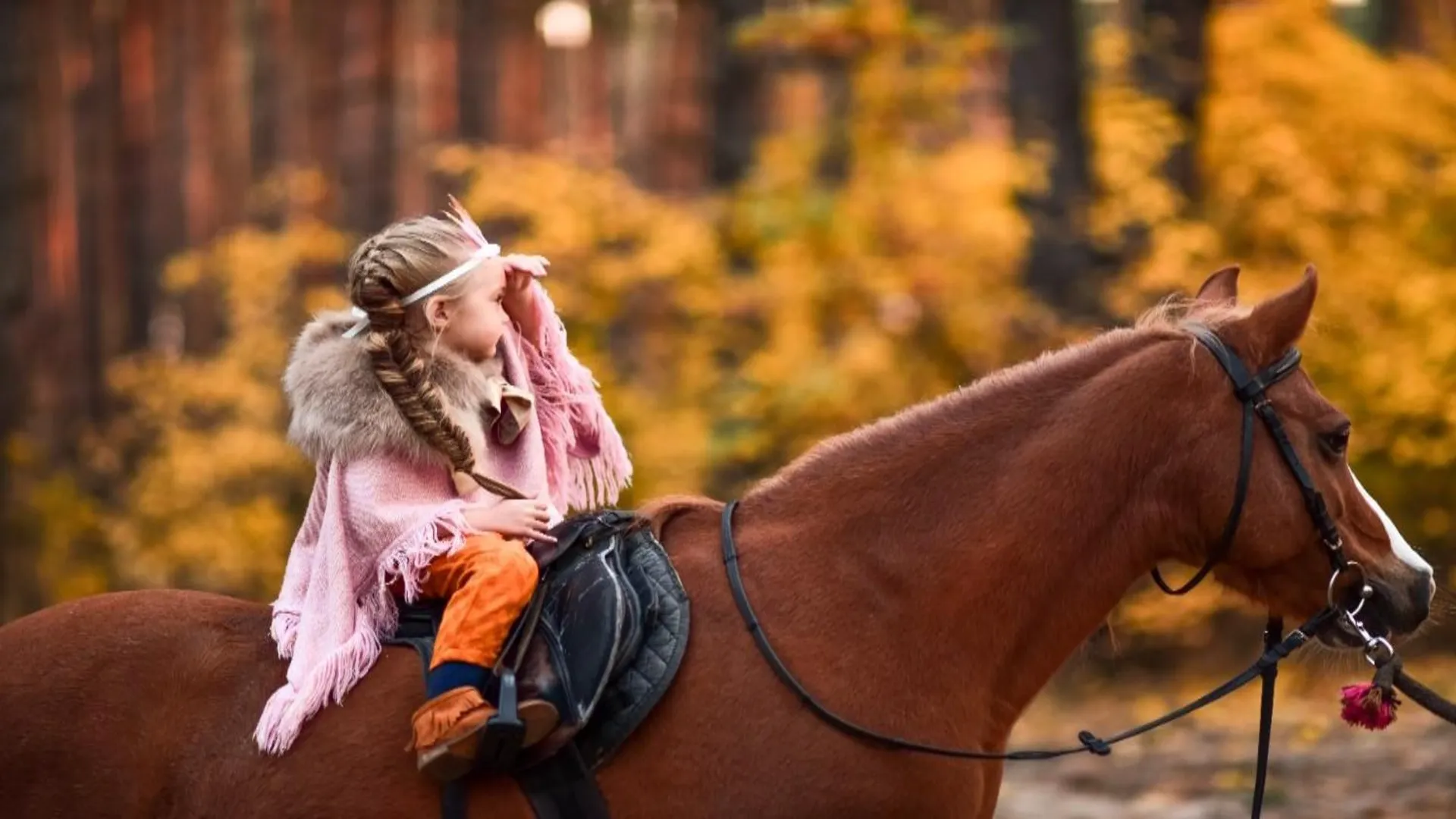 Western Saddle