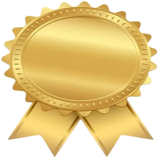 Certified Excellence Icon