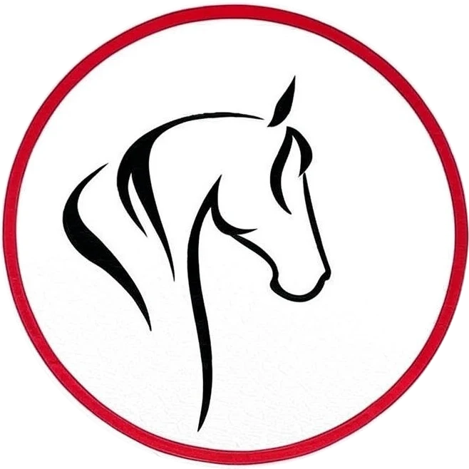 Sufi International Company Logo